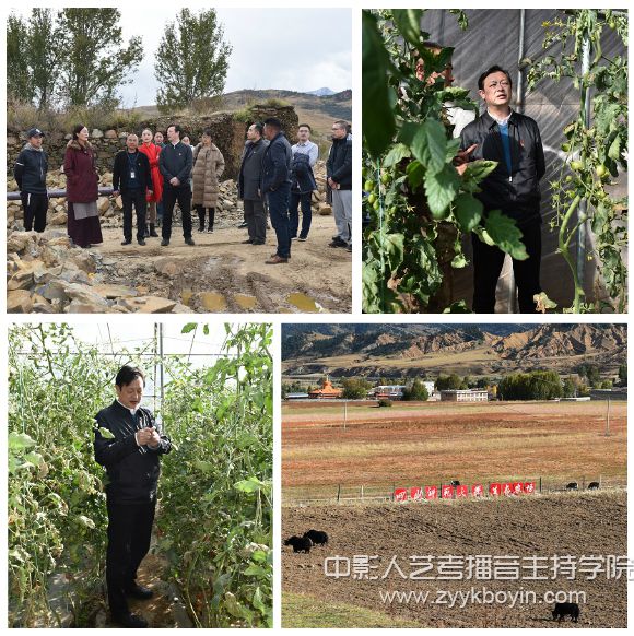 校黨委常委、副校長高中偉查看四川師范大學投資援建的蔬菜大棚生產基地和四川師范大學生態農場