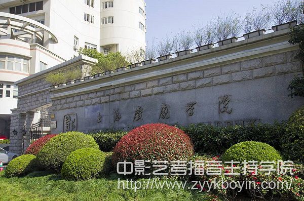 上海戲劇學院標志.jpg