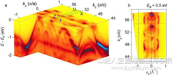 武漢大學研究成果